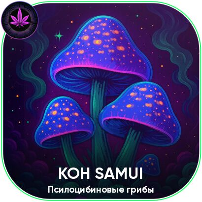 KOH SAMUI