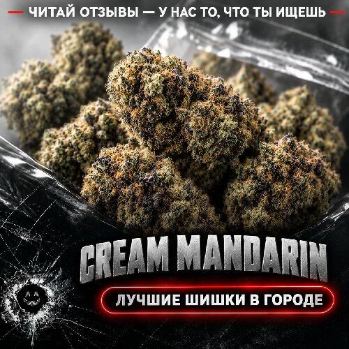 CREAM MANDARIN///28%