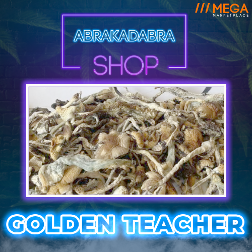 Golden Teacher