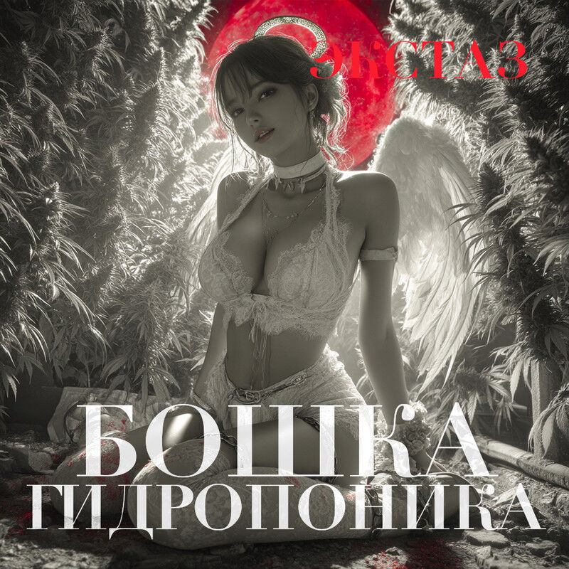 Бошка Гиропон