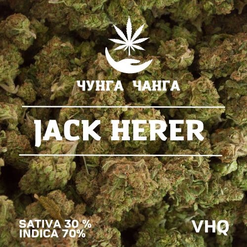Jack Herer