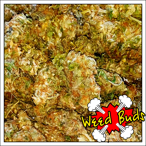 Шишки "Gorilla Glue"