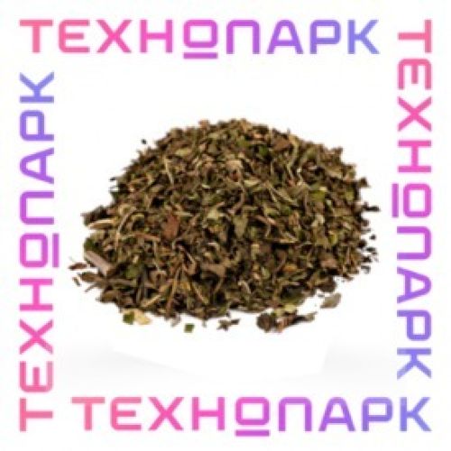 План