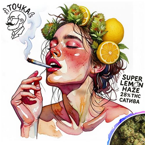 Шишки Sativa THC 28%