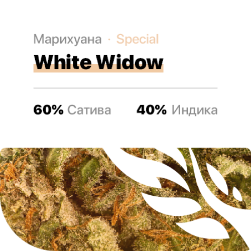 White Widow