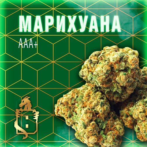 ЦАО Шишки Gorilla