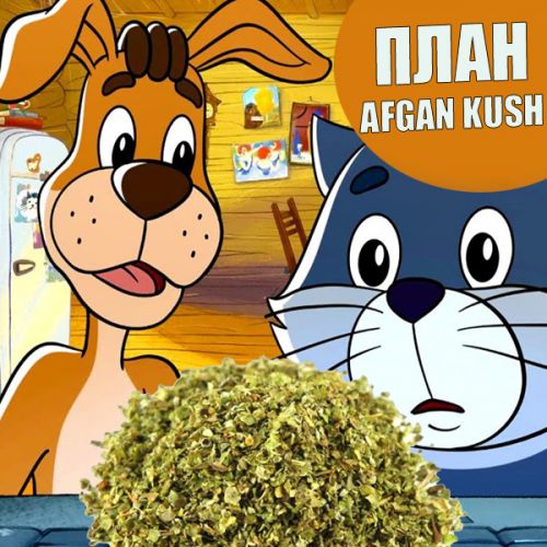 ПЛАН AFGAN KUSH