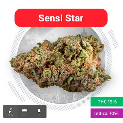 Sensi Star