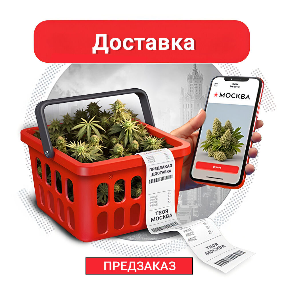 Предзаказ / Доставка